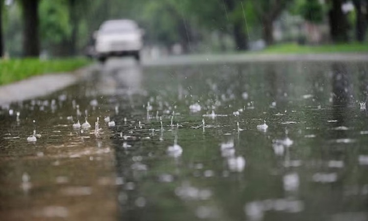 রবিবার পর্যন্ত ঢাকাসহ তিন বিভাগে বৃষ্টির আভাস