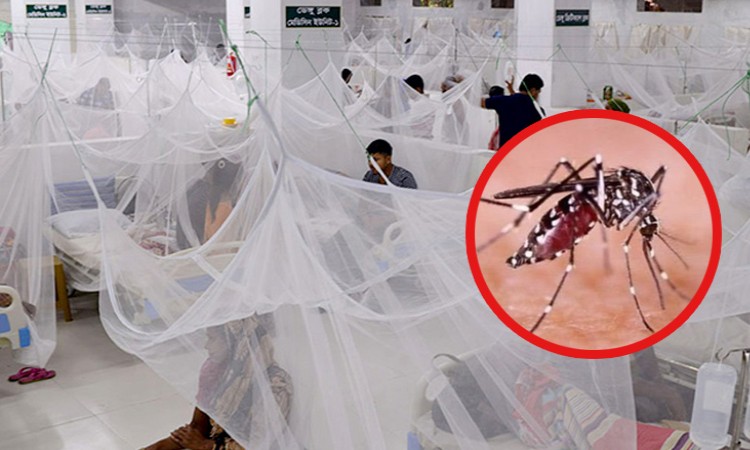 ডেঙ্গুতে একদিনে সর্বোচ্চ মৃত্যুর রেকর্ড