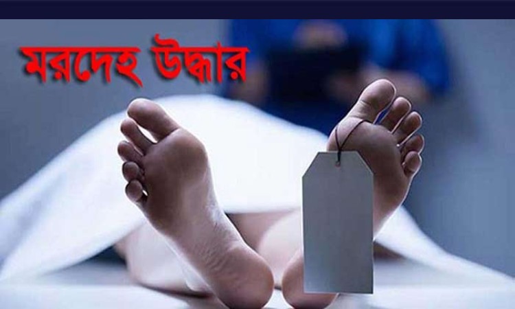 টাঙ্গাইলে মহাসড়কের পাশ থেকে হাত-পা বাঁধা মরদেহ উদ্ধার