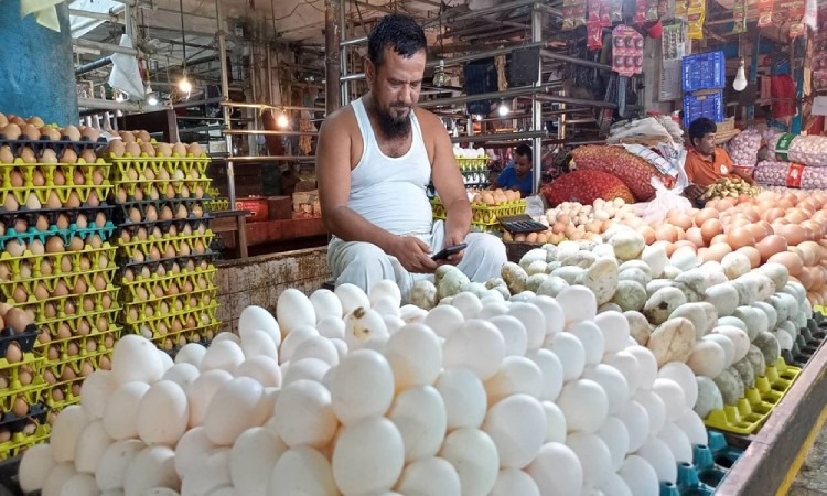 ডিমের নতুন দাম নির্ধারণ, বুধবার থেকে কার্যকর