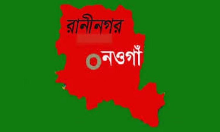 রাণীনগরে গোয়াল ঘরের তালা কেটে ২ গরু চুরি