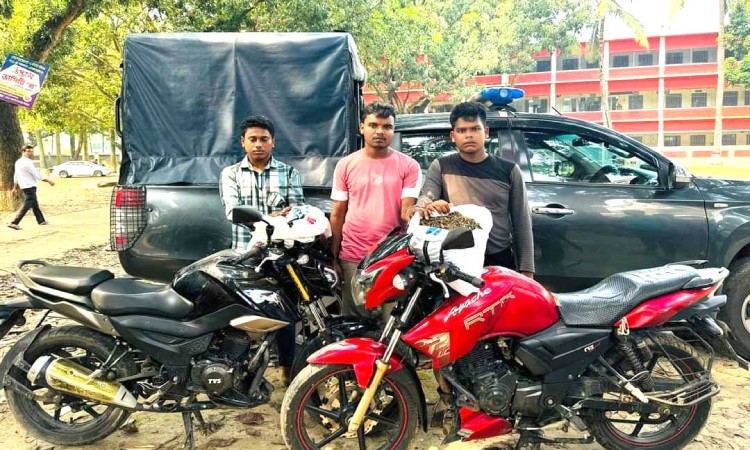 সিংড়ায় ৫ কেজি গাঁজা উদ্ধার, গ্রেফতার ৩