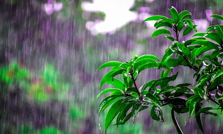 দুপুরের মধ্যে ৬ অঞ্চলে ঝড়-বৃষ্টির আভাস