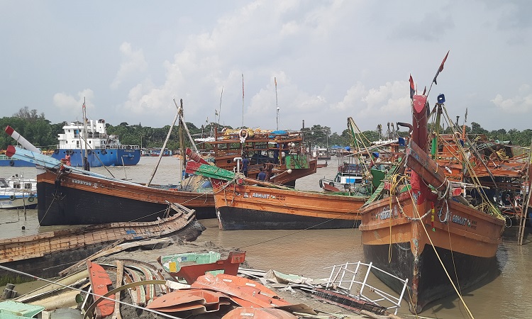 বাংলাদেশের জলসীমায় ঢুকে মাছ শিকার, ৪৮ ভারতীয় জেলে আটক
