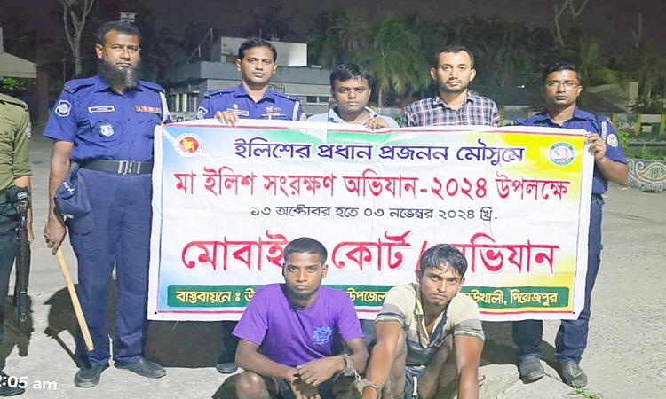 নিষেধাজ্ঞা অমান্য করে ইলিশ শিকার, দুই জেলের কারাদণ্ড