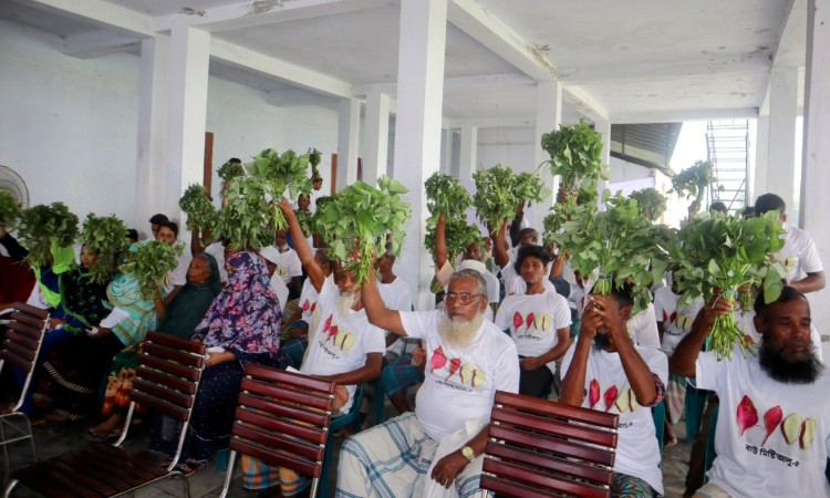 বাকৃবিতে কৃষকদের মাঝে উচ্চ ফলনশীল চারা বিতরণ