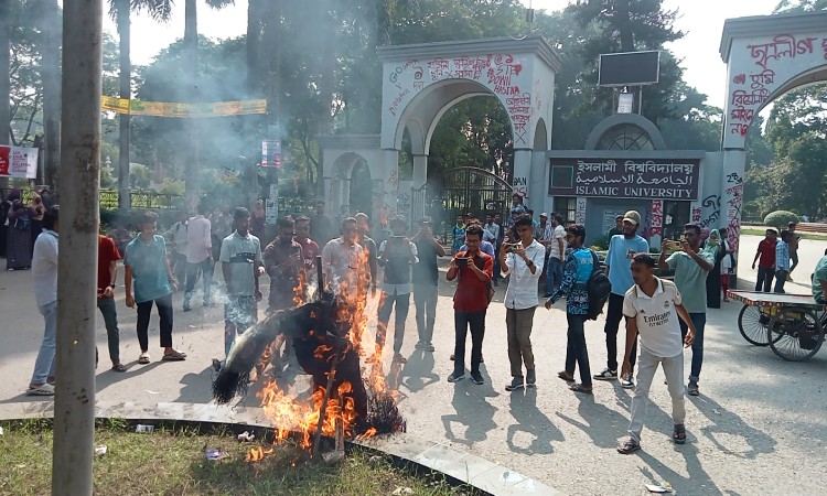 ইবি শিক্ষক হাফিজুলের বিরুদ্ধে নানা অভিযোগে অপসারণের দাবি