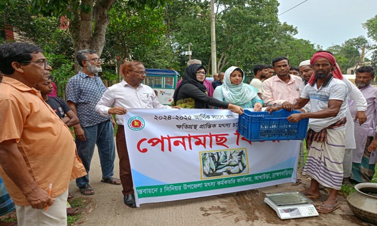 আখাউড়ায় বন্যায় ক্ষতিগ্রস্ত ১১৮ চাষীর মাঝে মাছের পোনা বিতরণ