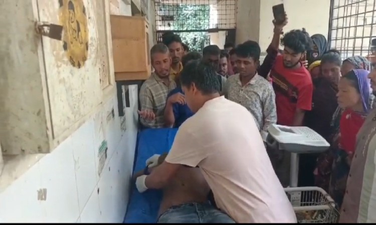 ব্রাহ্মণবাড়িয়ায় অটোরিকশা ছিনতাই করতে চালককে খুন