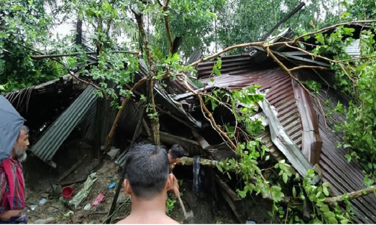 ঘূর্ণিঝড় ‘দানা’র প্রভাবে পটুয়াখালীতে ১২টি ঘর বিধ্বস্ত
