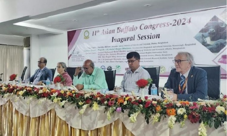 মহিষের উৎপাদন বাড়ানোর আহ্বান মৎস্য ও প্রাণিসম্পদ উপদেষ্টার