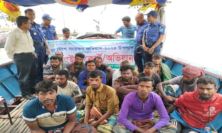 নিষেধাজ্ঞা অমান্য করে ইলিশ শিকার, ৯৭ জেলের কারাদণ্ড