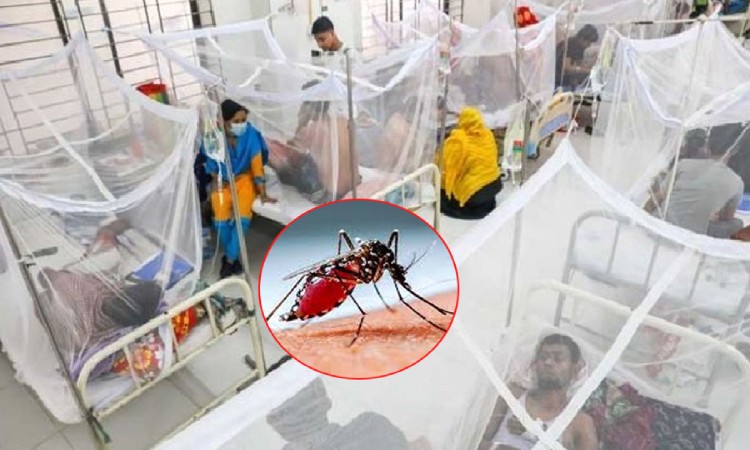 ডেঙ্গুতে আরও ২ জনের মৃত্যু