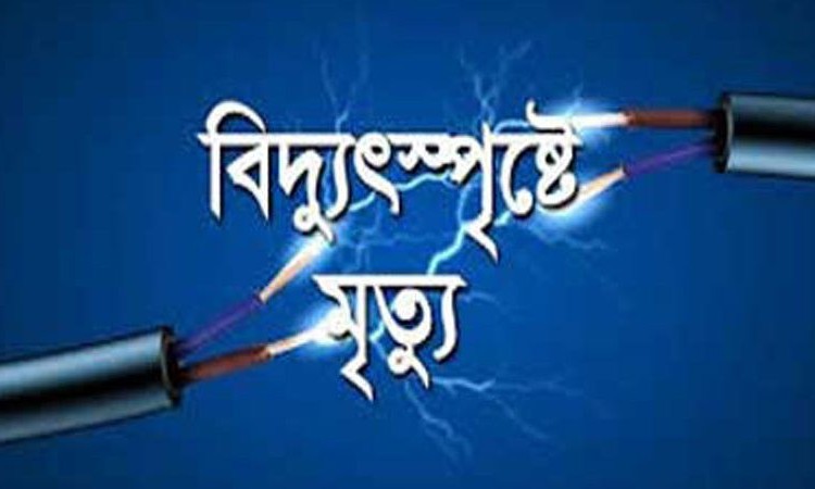 বনশ্রীতে বিদ্যুৎ স্পৃষ্ট হয়ে মিস্ত্রীর মৃত্যু