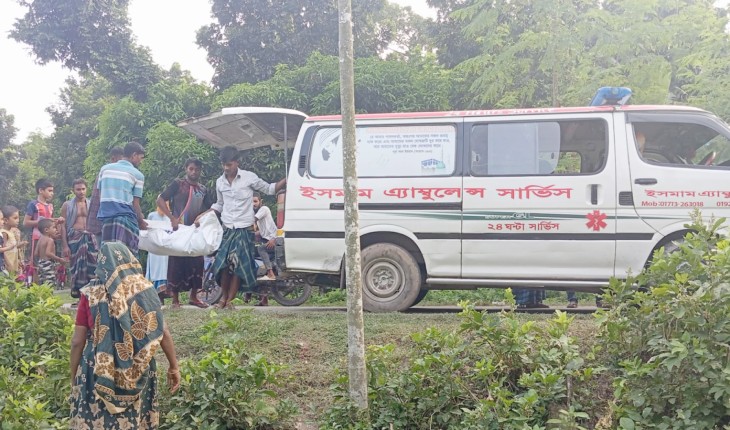 বোয়ালমারীতে হাতুড়ির আঘাতে চাচি নিহত