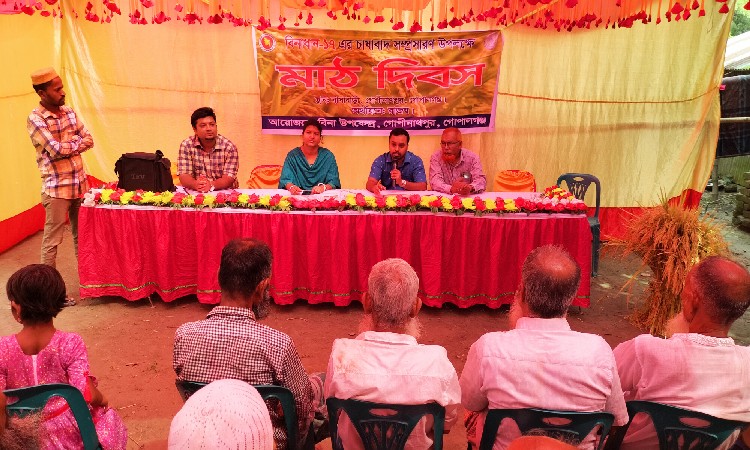 গোপালগঞ্জে বিনাধান- ১৭ এর বাম্পার ফলন