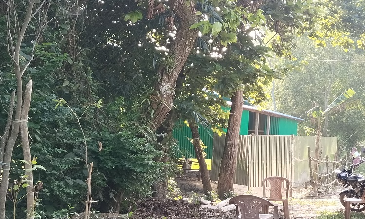 টাঙ্গাইলে বনের জায়গা দখল করে ঘর নির্মাণের অভিযোগ