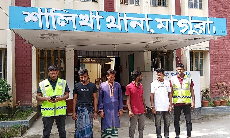 শালিখায় গাঁজাসহ ৪ জন গ্রেফতার