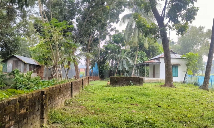 ভালুকায় চাচার বিরুদ্ধে ভাতিজার জমি দখলের অভিযোগ