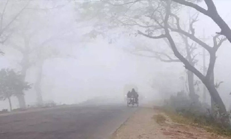 শীত আসার বিষয়ে যা জানালো আবহাওয়া অফিস