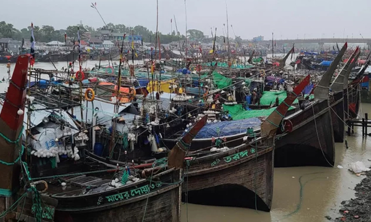 মধ্যরাত থেকে ইলিশ ধরার  নিষেধাজ্ঞা উঠছে