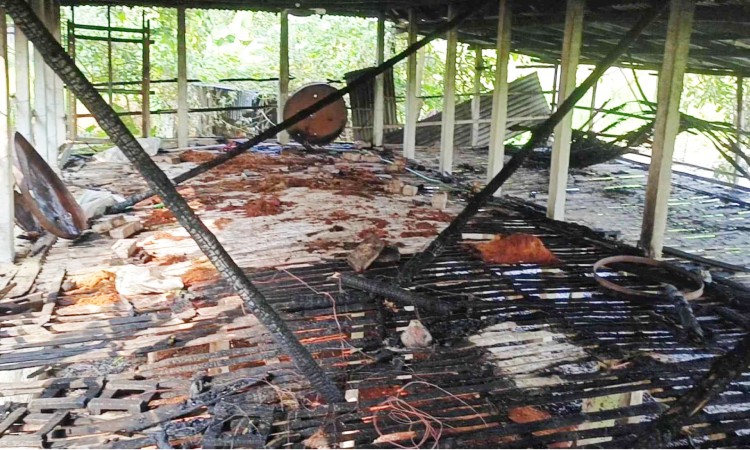 সিংড়ায় ৮০০ মুরগিসহ খামার পুড়ে ছাই