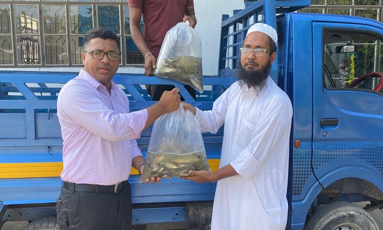 নোয়াখালীতে বন্যায় ক্ষতিগ্রস্ত মৎস্যচাষীরা পেল মাছের পোনা