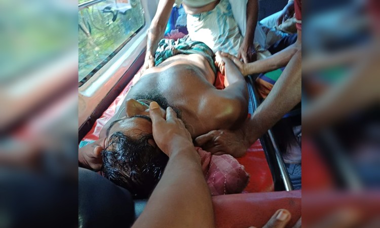 ভোলায় গাছ চাপায় যুবকের মৃত্যু