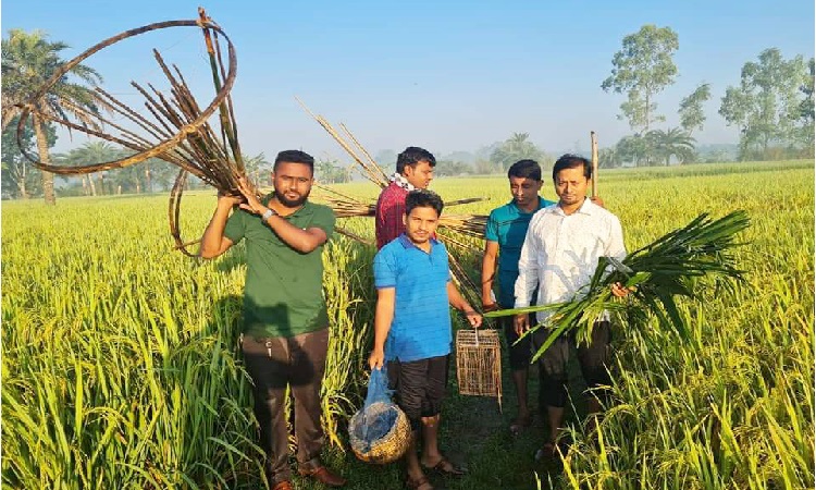 চলনবিলে পরিবেশ রক্ষায় উদ্যমী সেচ্ছাসেবী যুবকেরা