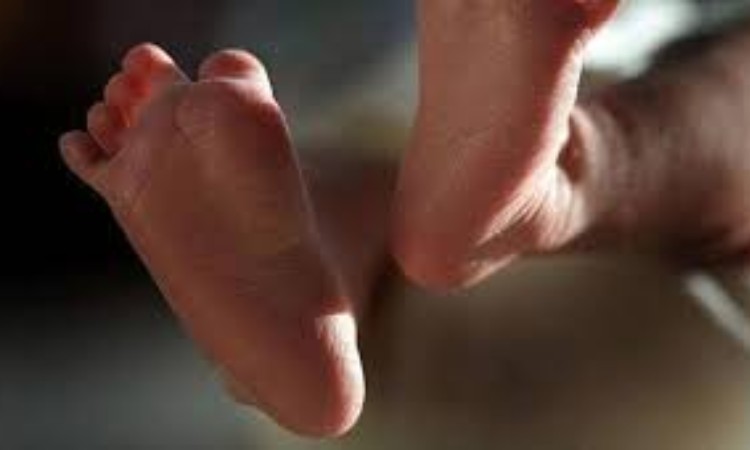 ব্যাগের ভিতর থেকে নবজাতকের মরদেহ উদ্ধার