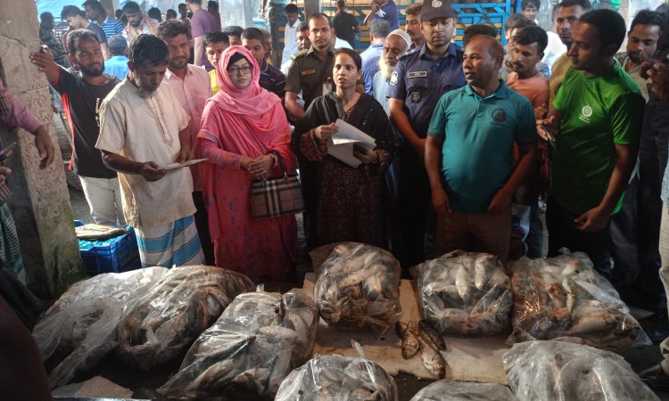 আখাউড়ায় ১৭৫ কেজি জাটকা ও জাল জব্দ