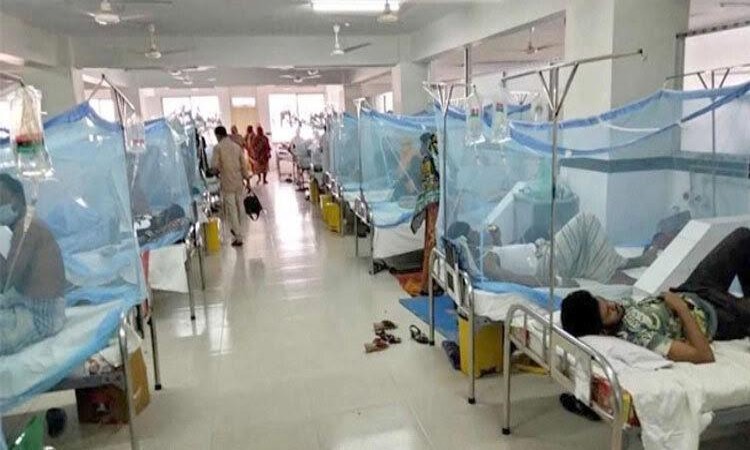ডেঙ্গুতে আরও ৪ জনের মৃত্যু, হাসপাতালে ভর্তি  ১১০৯