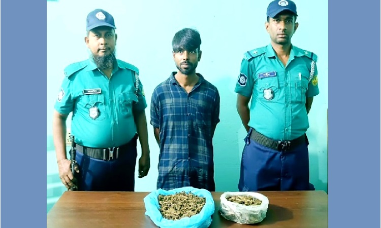 কাশিয়াডাঙ্গায় পুলিশের অভিযান, গাঁজাসহ গ্রেপ্তার ১