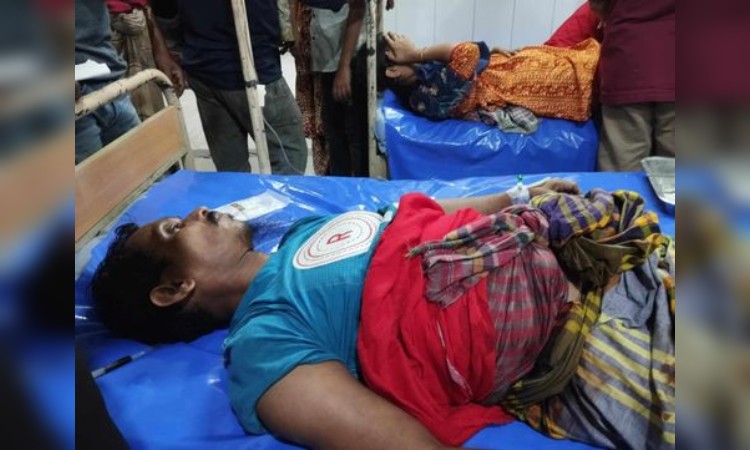 রাজধানীতে মহিষের গুঁতোয় নারীর মৃত্যু