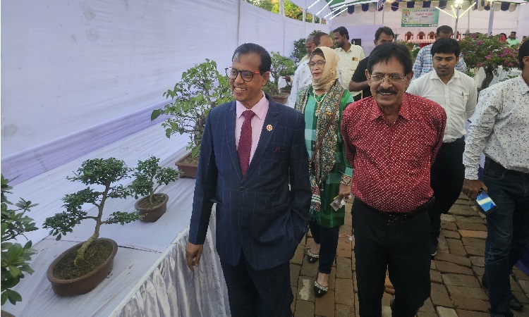 রাজশাহীতে ৩ দিনব্যাপী বনসাই প্রদর্শনীর উদ্বোধন