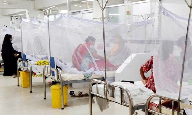২৪ ঘন্টায় ডেঙ্গুতে আরও ৭ জনের মৃত্যু