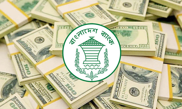 ৯ দিনে রেমিট্যান্স এলো সাড়ে ৬৫ কোটি ডলার