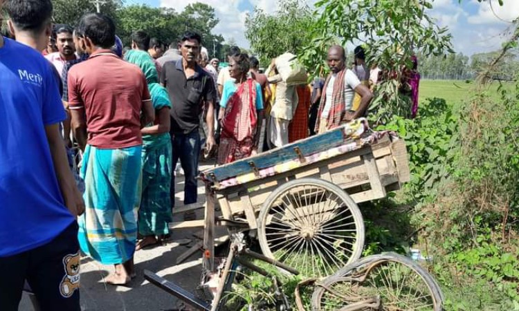 গোবিন্দগঞ্জে সড়ক দুর্ঘটনায় নারী নিহত