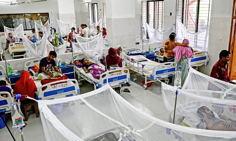 ডেঙ্গুতে আরও ৫ জনের মৃত্যু, হাসপাতালে ভর্তি ১১৯৪