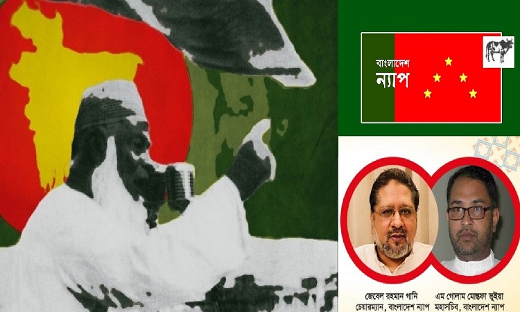 ভাসানীর স্বপ্নের বাংলাদেশ আজও প্রতিষ্ঠিত হয়নি : ন্যাপ