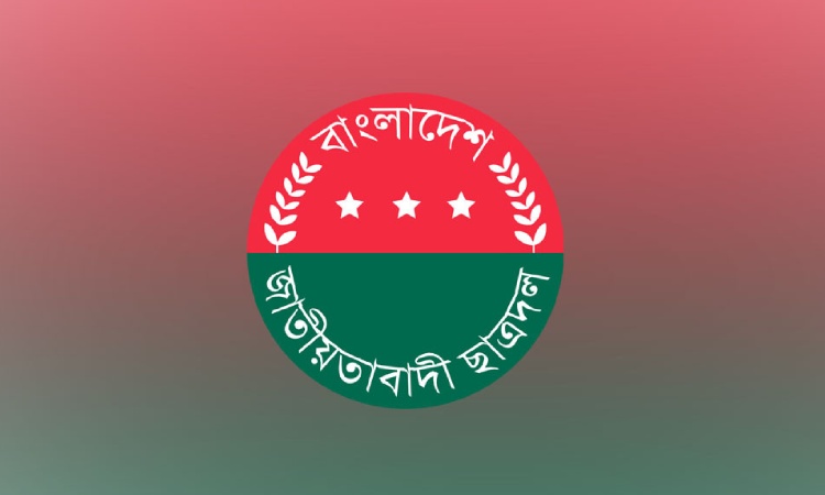 ঢাবি ছাত্রদলের ২৪২ সদস্যবিশিষ্ট পূর্ণাঙ্গ কমিটি প্রকাশ