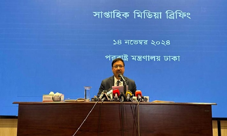 ভারতে বসে শেখ হাসিনার বিবৃতি পছন্দ করছে না সরকার