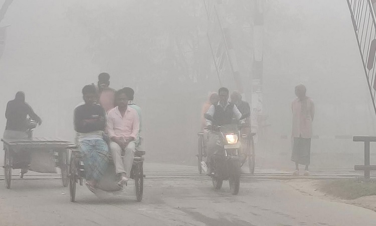 ঘন কুয়াশা, তাপমাত্রা নামল ১৬ ডিগ্রিতে