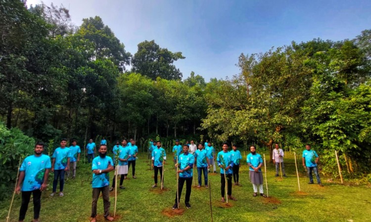 বানরের খাদ্য সংকট মেটাতে ফলজ গাছ রোপণ