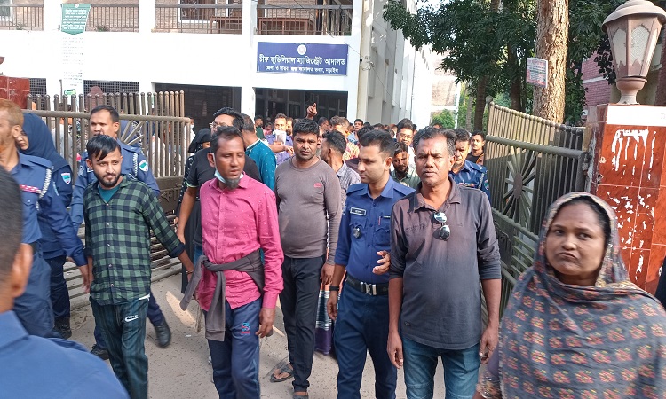 নড়াইলের দুই ভাই হত্যা মামলায় ২৯ আসামি জেলে