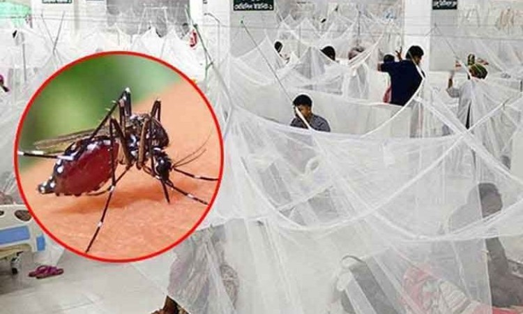 ডেঙ্গুতে আরও ৮ জনের মৃত্যু, হাসপাতালে ভর্তি ১৩৮৯