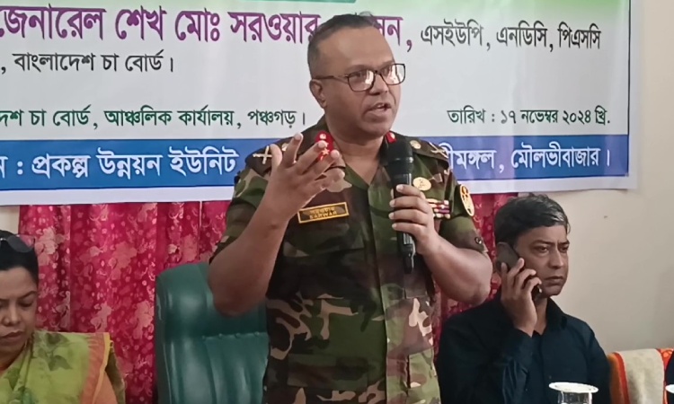 চায়ের মান বাড়াতে ক্ষুদ্র কারখানা গড়ে তোলার পরিকল্পনা বোর্ডের