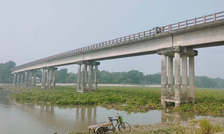 কচুরিপানার কারণে বন্ধ পাঁচ জেলার নৌ চলাচল