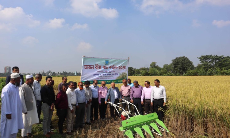 'কৃষকের কাছে ১ কোটি ১৬ লাখ কেজি ধান বীজ সরবরাহ করেছে বাকৃবি'
