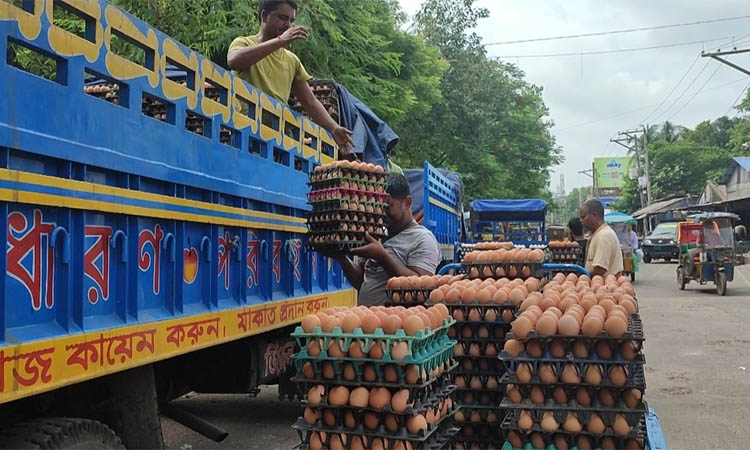 আরও ১৯ কোটি ডিম আমদানির অনুমতি